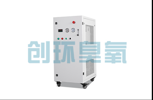 百色工厂化养鲈必看:2026年臭氧发生器替代传统消毒的最新方案