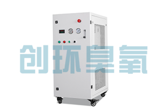 百色石斑鱼养殖水质调控完整指南：臭氧发生器配置与操作步骤