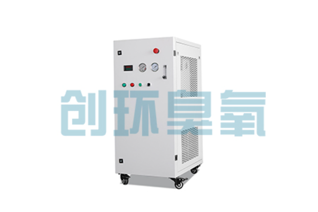 百色比传统换水更高效?臭氧发生器在石斑鱼养殖中的水质净化原理解析